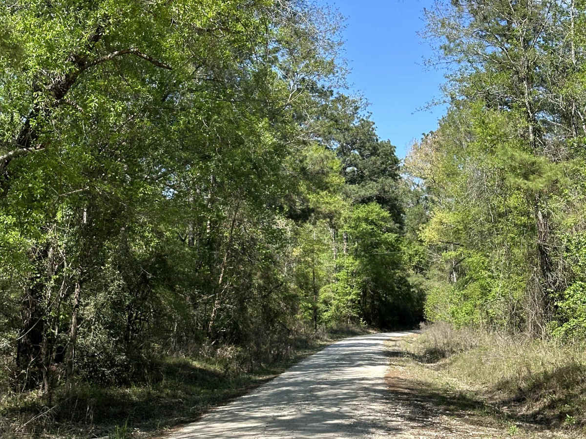 Elmer Smith Road trail photo