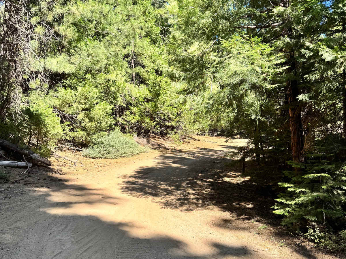 FS 5N93 trail photo
