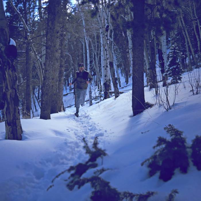 Near Bergen Peak Trail