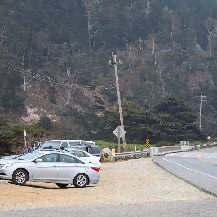 Near Skyline To The Sea Loop