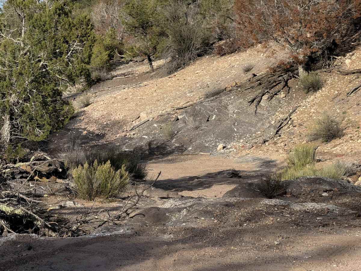 Adra Loop  photo 2