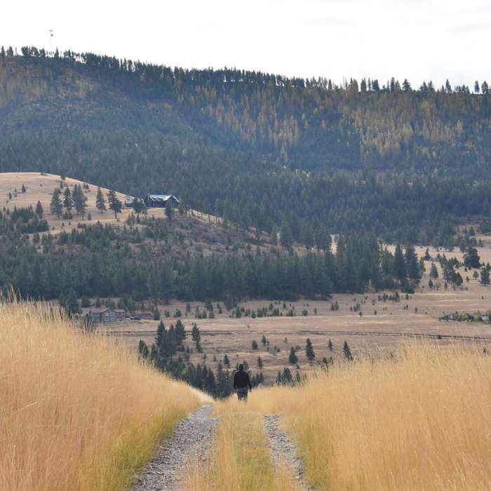 Near Pengelly Trail to Sentinel Summit