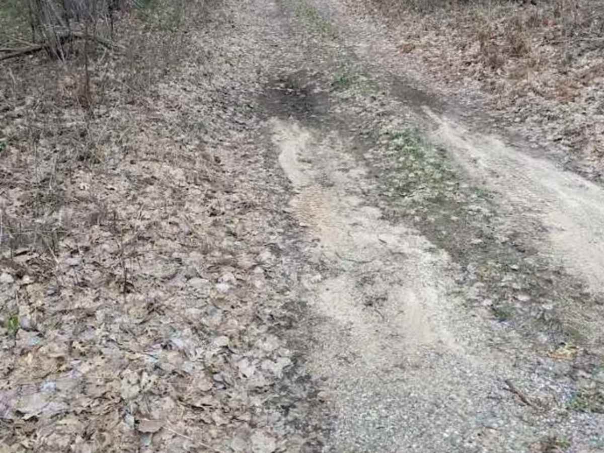 Benzie Lane West trail photo