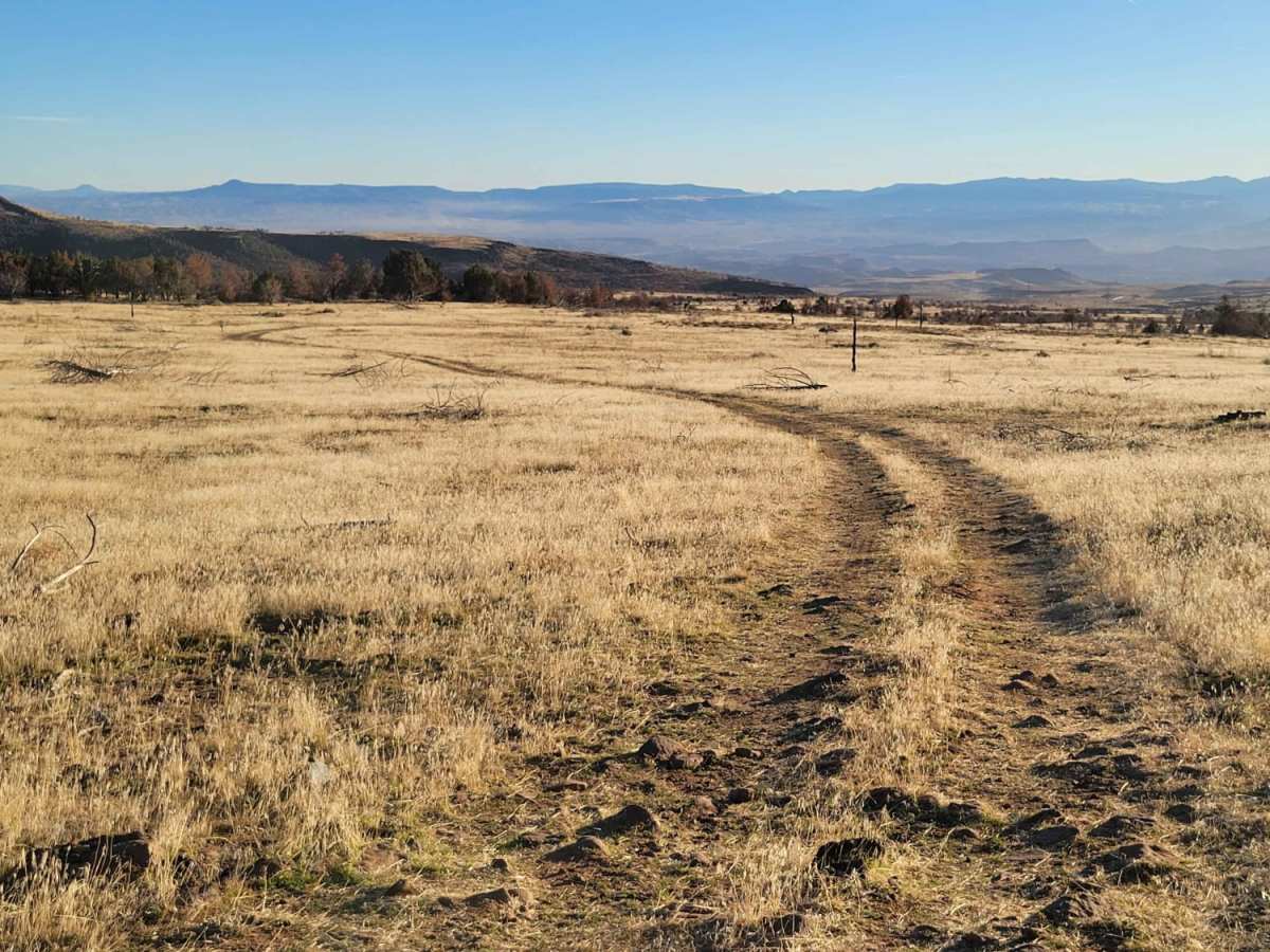 Cedar Bench Trail trail photo