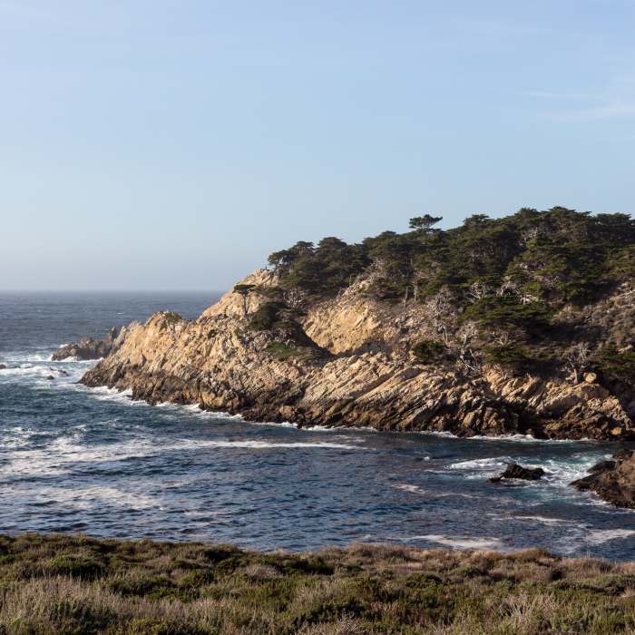 Near Cypress Grove Trail