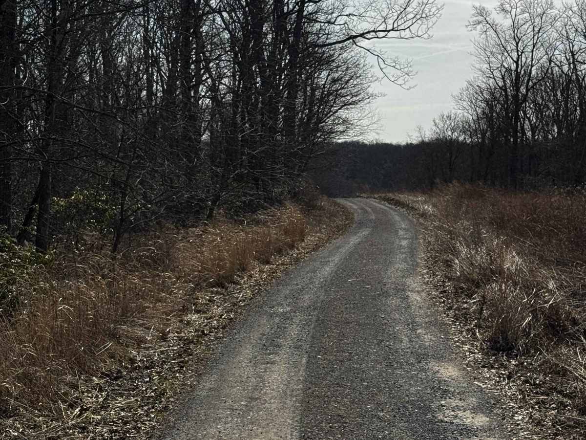 Crabapple Run Road photo 4