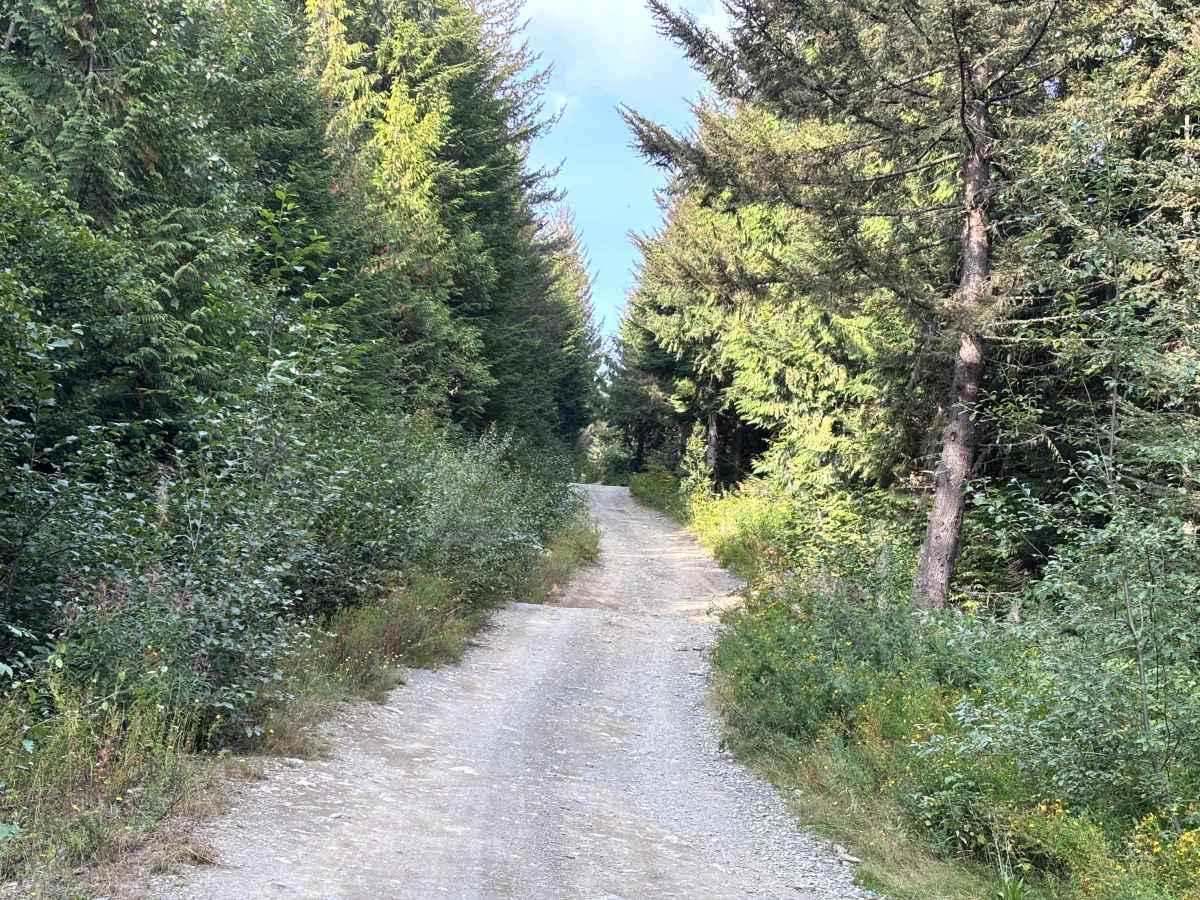 Mount Cheam Trailhead photo 3