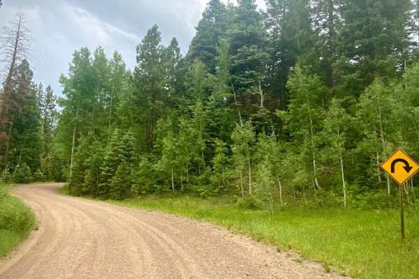 Poison Park Rd #644