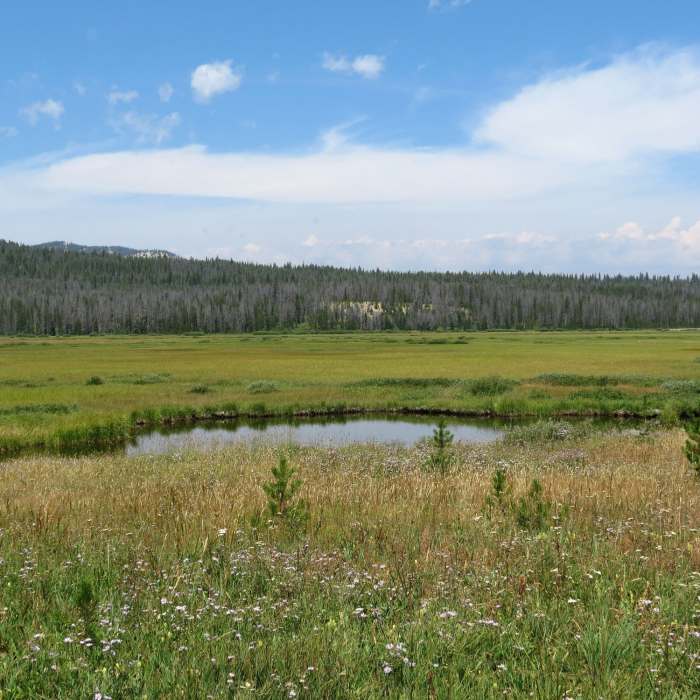 Near Idaho Centennial Trail: Section 23