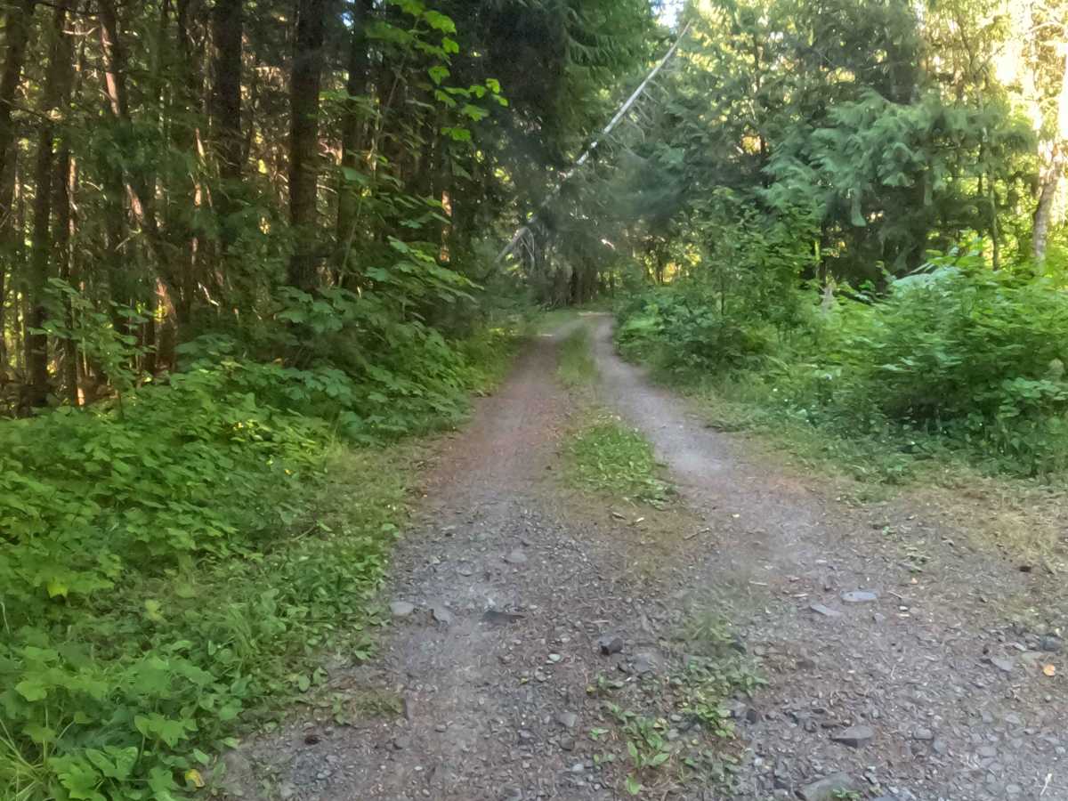 Minto Mountain Road - FS 2253125 photo 6