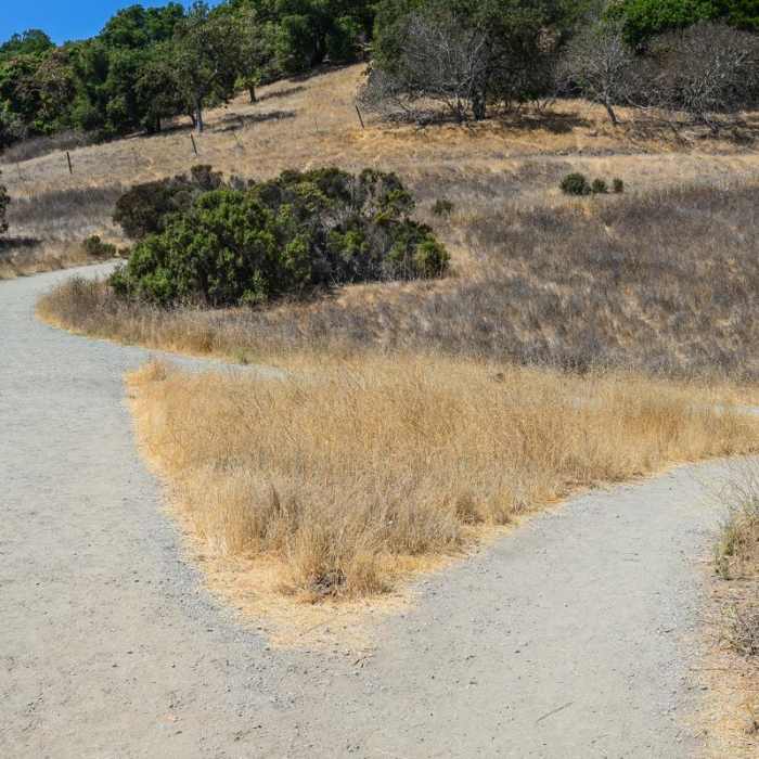 Near Lower Meadow Trail to Deer Hollow Farm