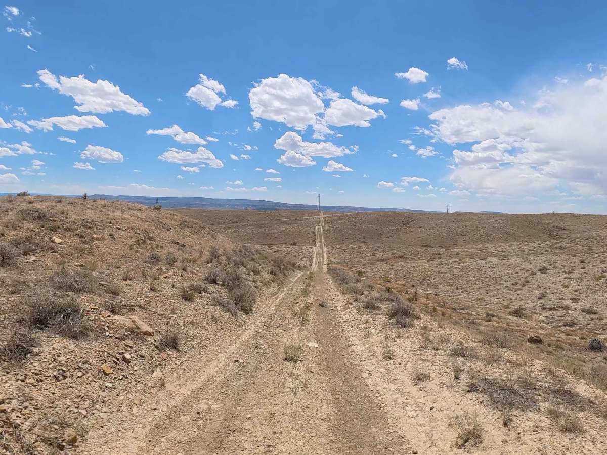 BLM 177 photo 5
