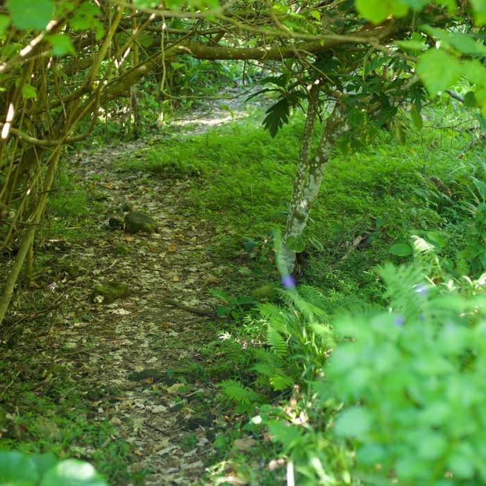 Near Pola Island Trail