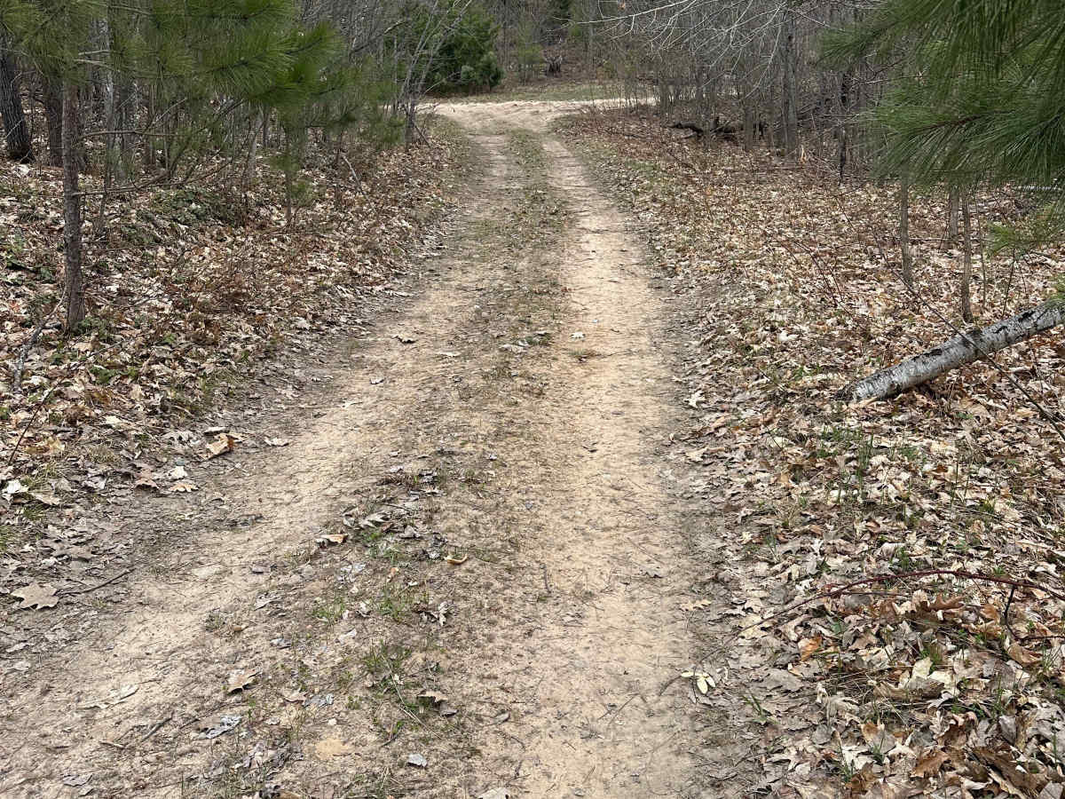 Fredric Cutover trail photo
