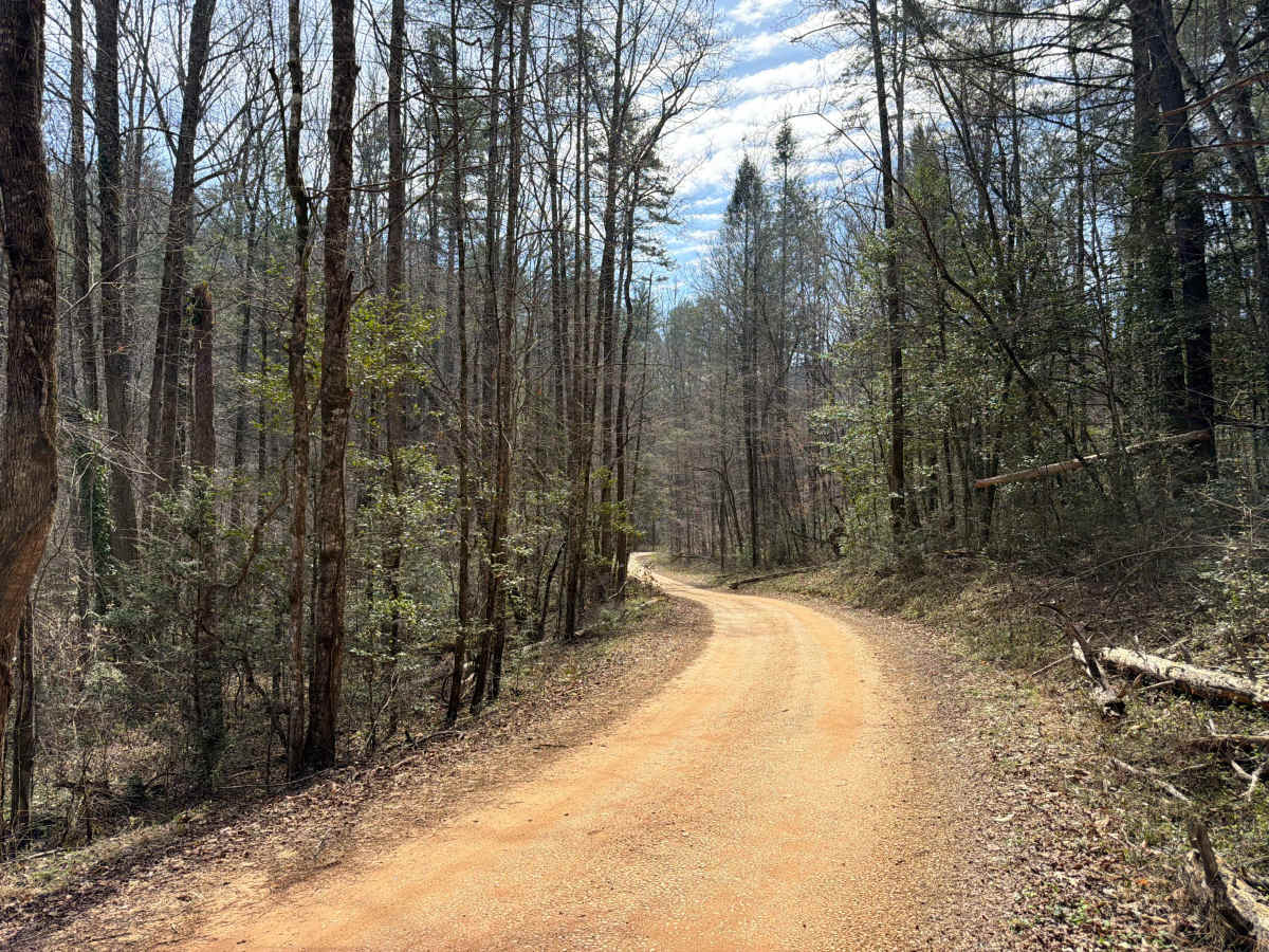 Brasstown Falls - FS 751 photo 3