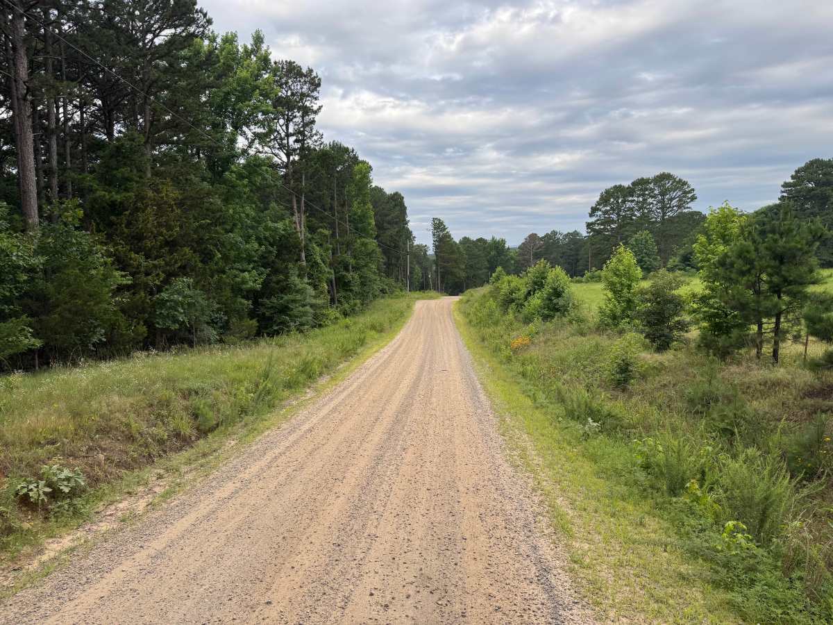 County Road 4418 photo 5