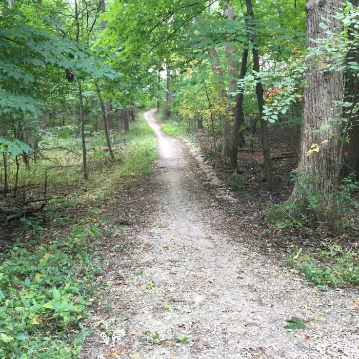 Start of the Yellow Loop. Near Deer Grove Forest Loop