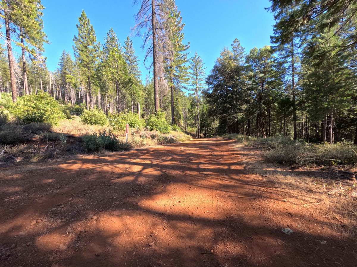 Dodge - FS 19N53 trail photo