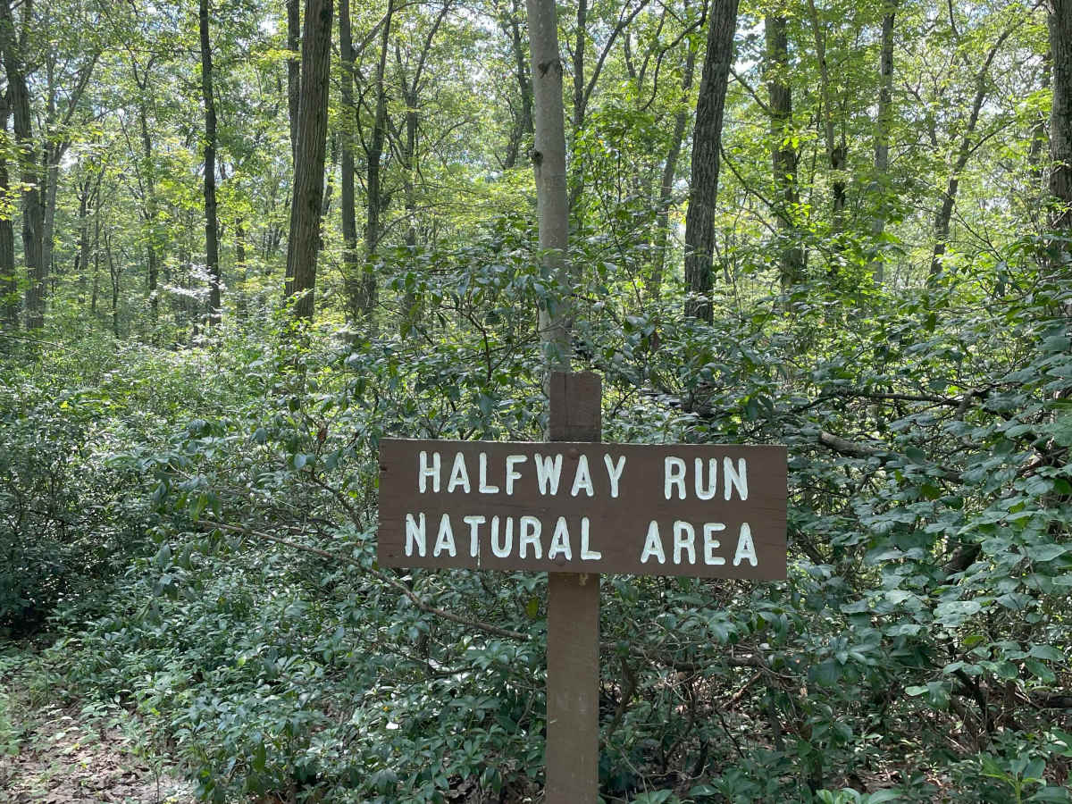 Sand Mountain Road photo 4