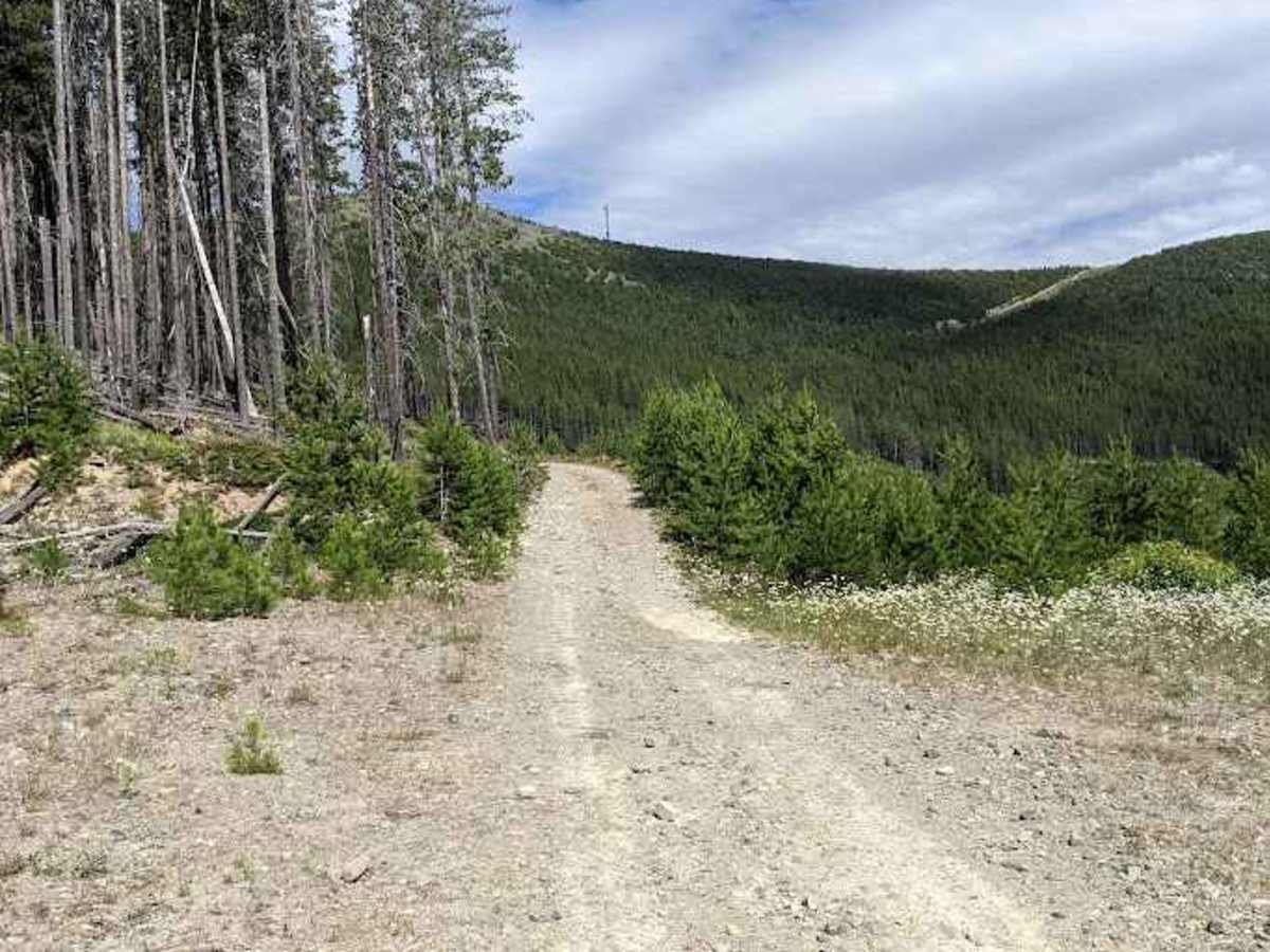 Ferrell Trail  photo 5