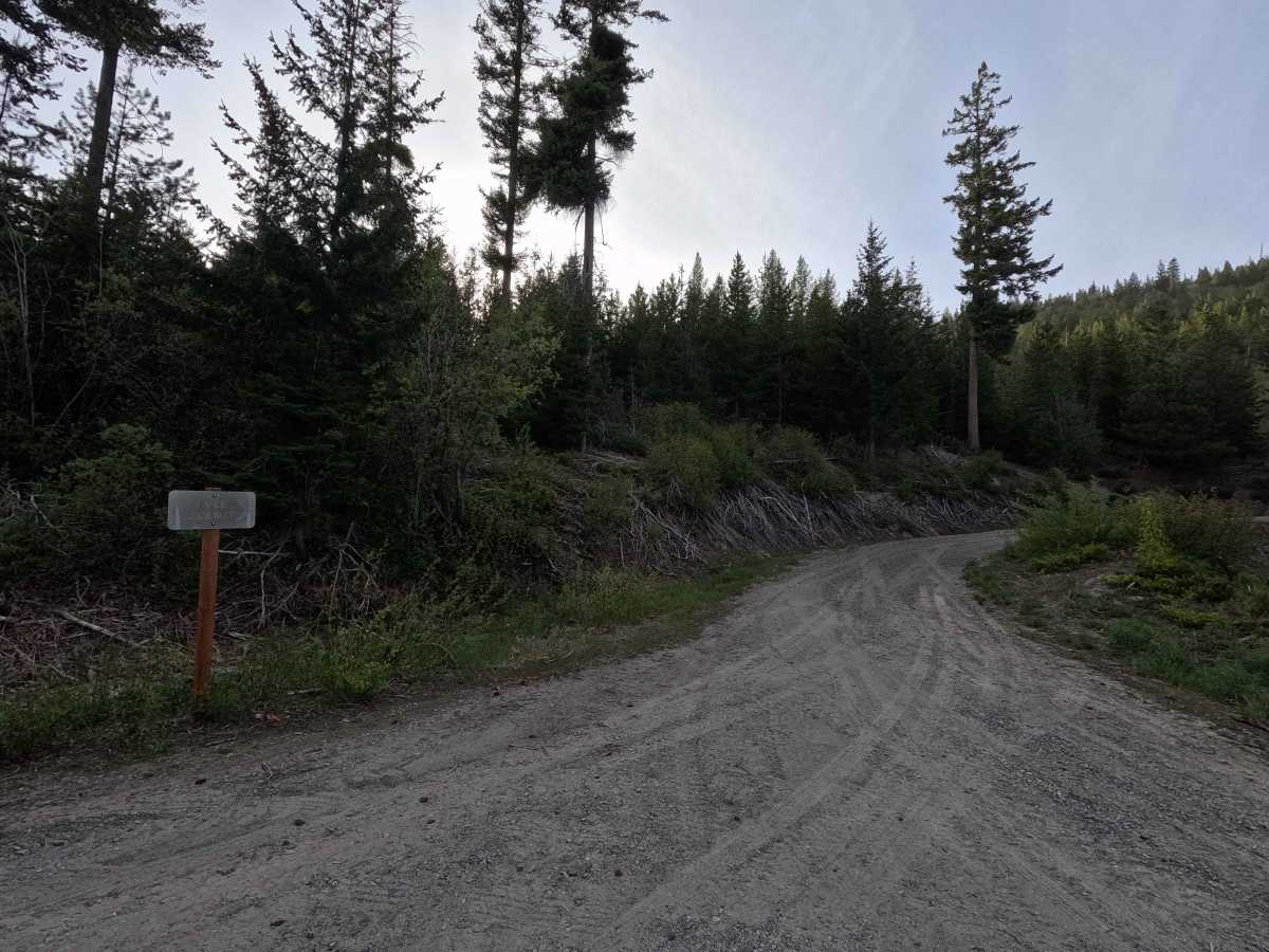 Tyee Lookout Road - FS 5713 trail photo