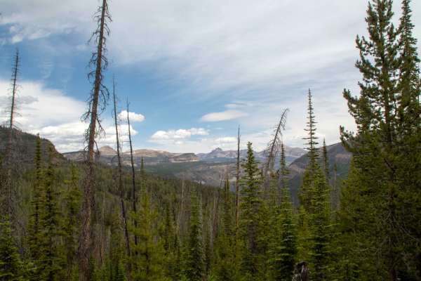 Cobble Creek S14 - FR80949