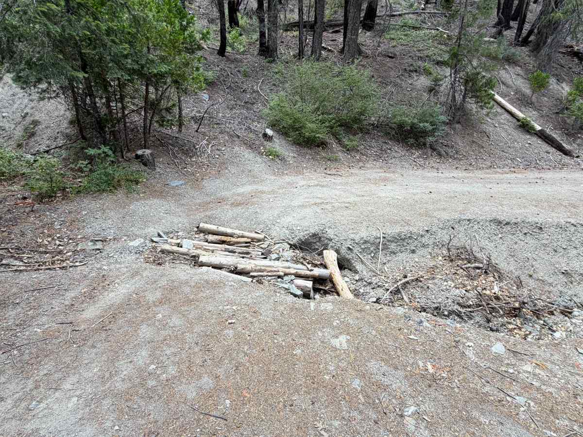 Sheep Creek - FS 20N09 trail photo