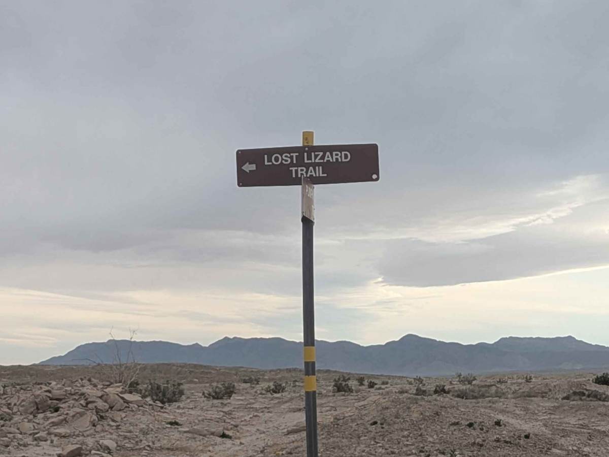 Lost Lizards trail photo