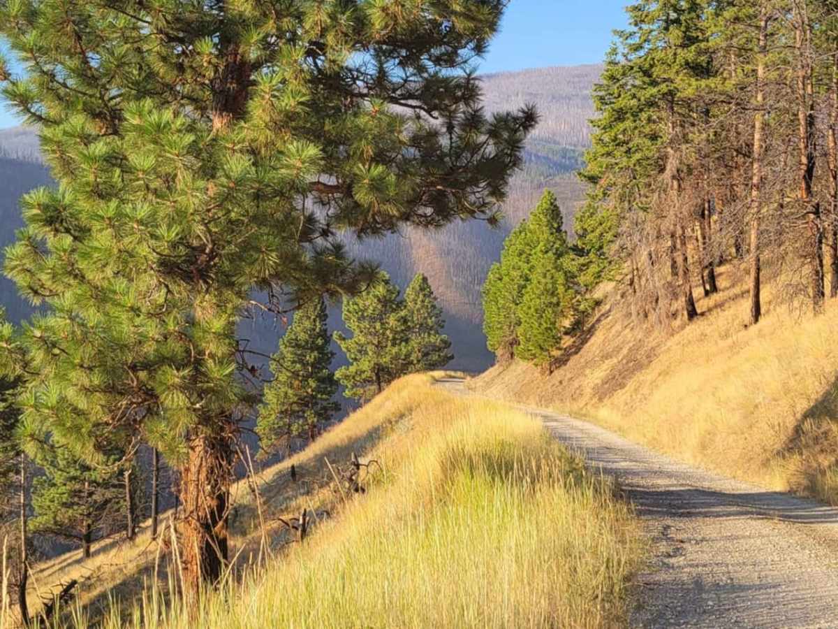 Mormon Peak photo 2
