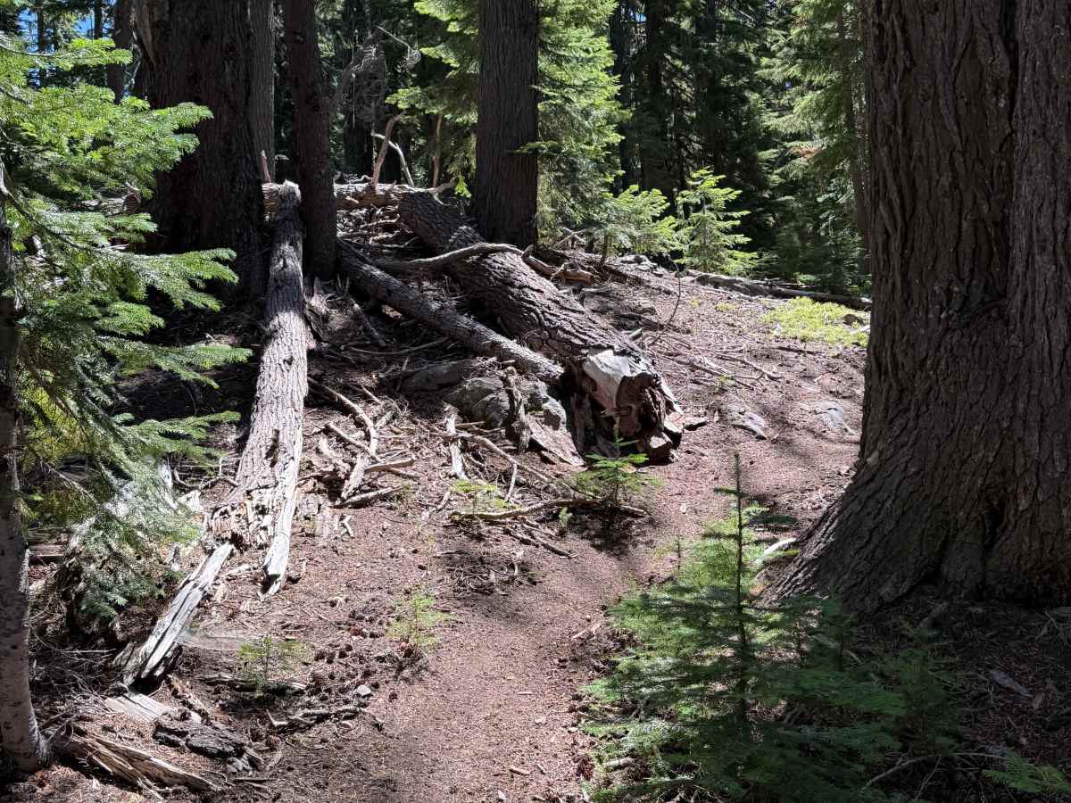 Windy Pass  photo 5