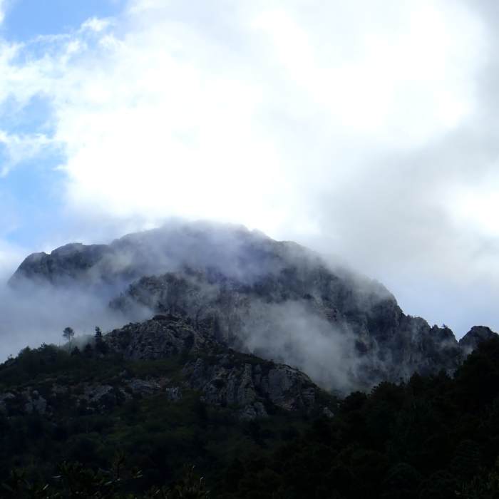 The peak of Mt. Wrightson as seen from the #134 Super Trail Near Josephine Saddle via Super Trail