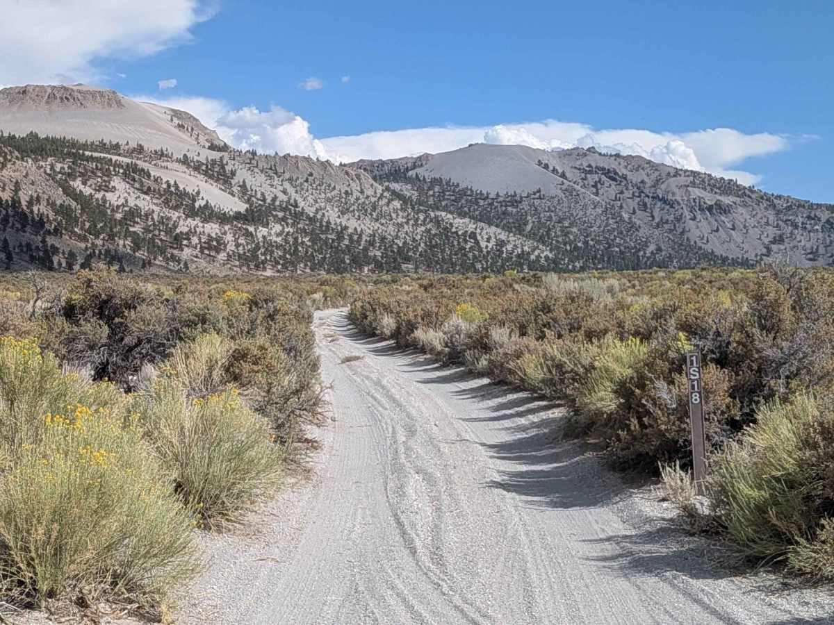 Crater Mountain - FS 1S18 trail photo