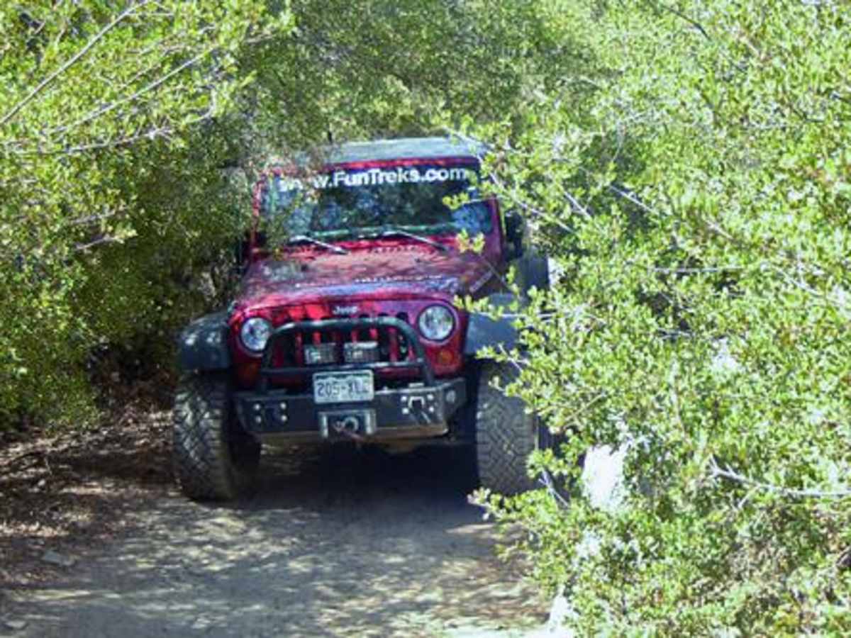 Sidewinder photo 2