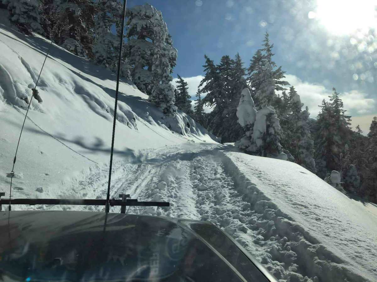 Bennett Pass photo 4