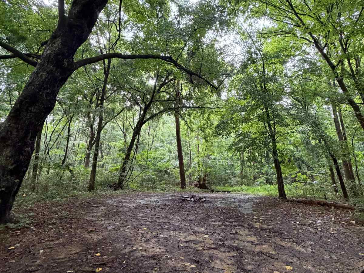 Bayou Run photo 4