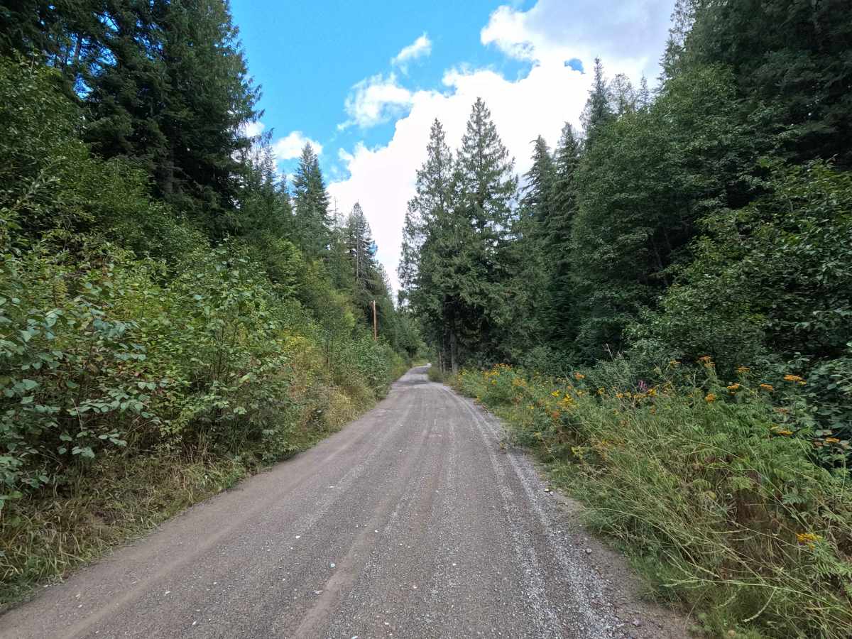 Best Chance Road photo 4