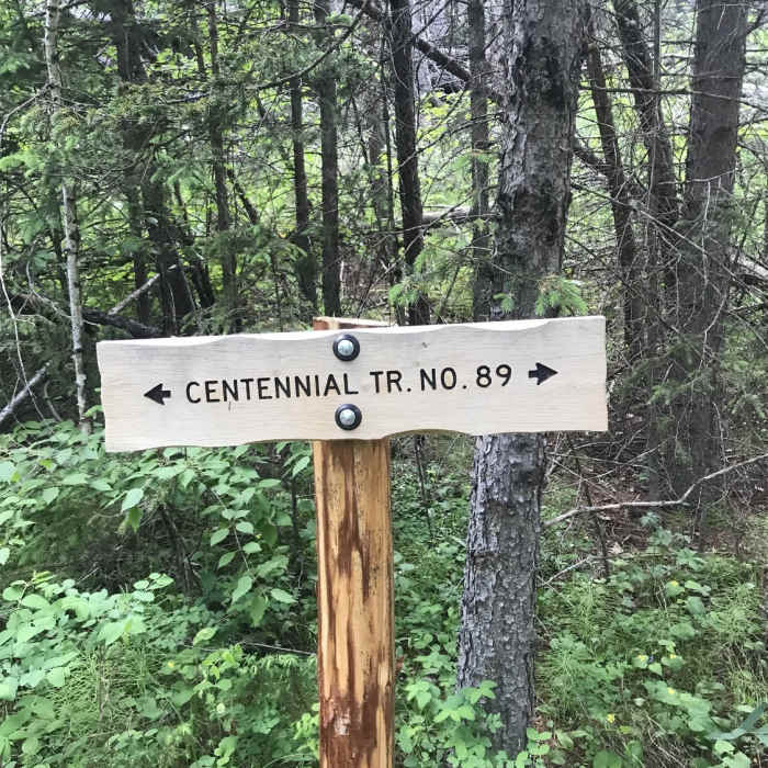 Near Mt. Rushmore Spur Trail