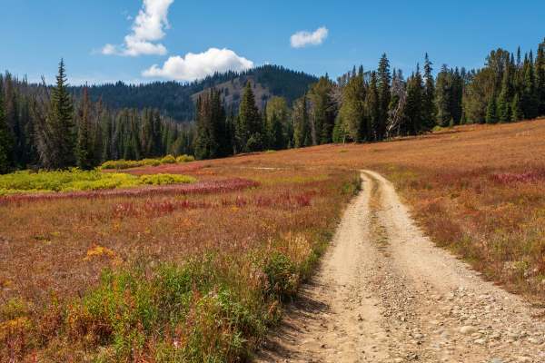 Leidy Lake Road - FS 30250