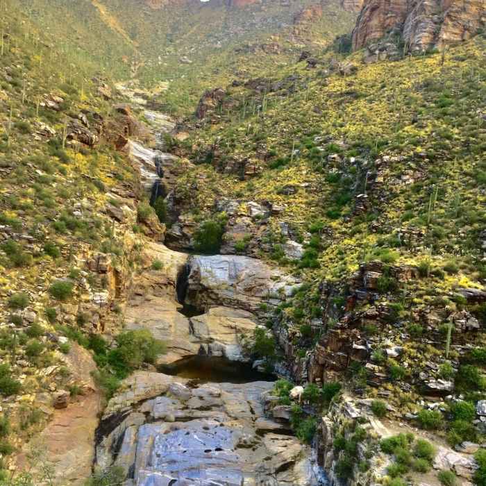 Near Bear Canyon Loop