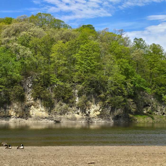 Palisades-Keplar Loop Near Palisades Loop
