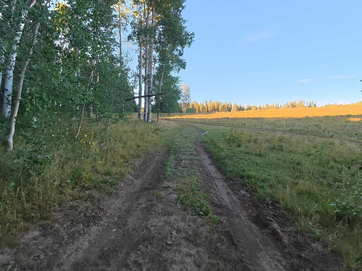 North Elk Cutoff Road - FS 248 trail photo