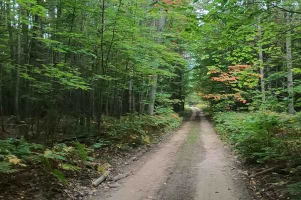 Strickler Truck Road