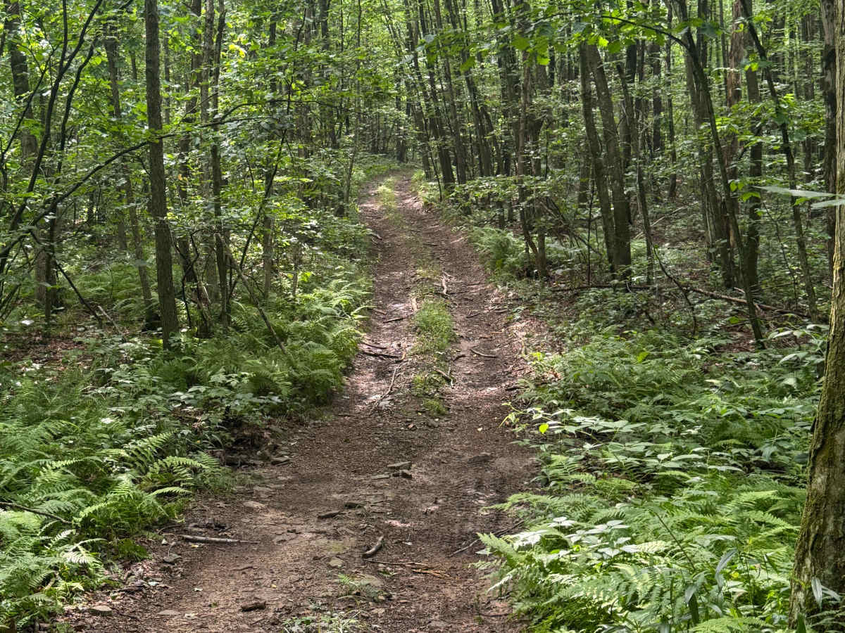 Trail 70 photo 3