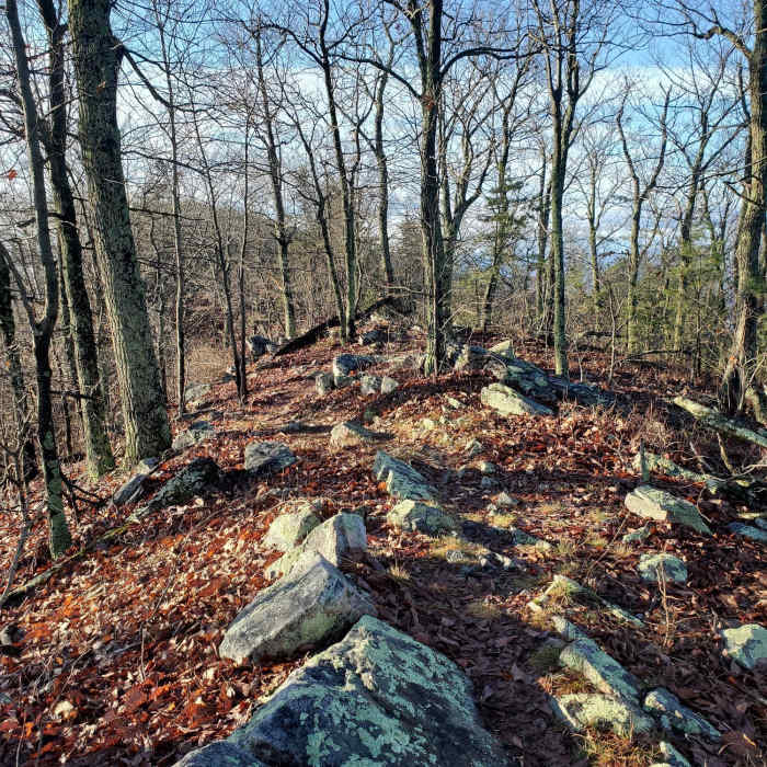 Near Shawls Gap to High Peak