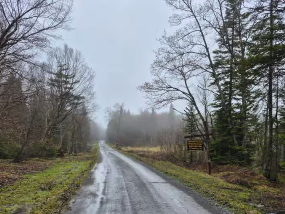 Glenfield and Western Railroad Corridor photo 4