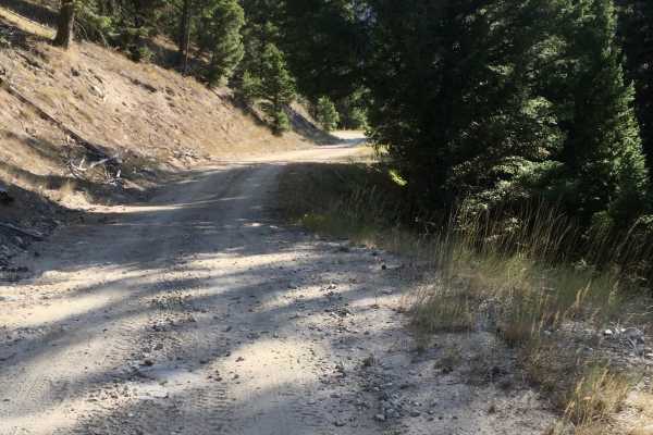 Reynolds Ridge Road - FS 5770