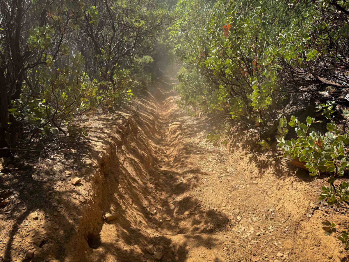Trail 1 (Advanced) (11E23)  photo 6