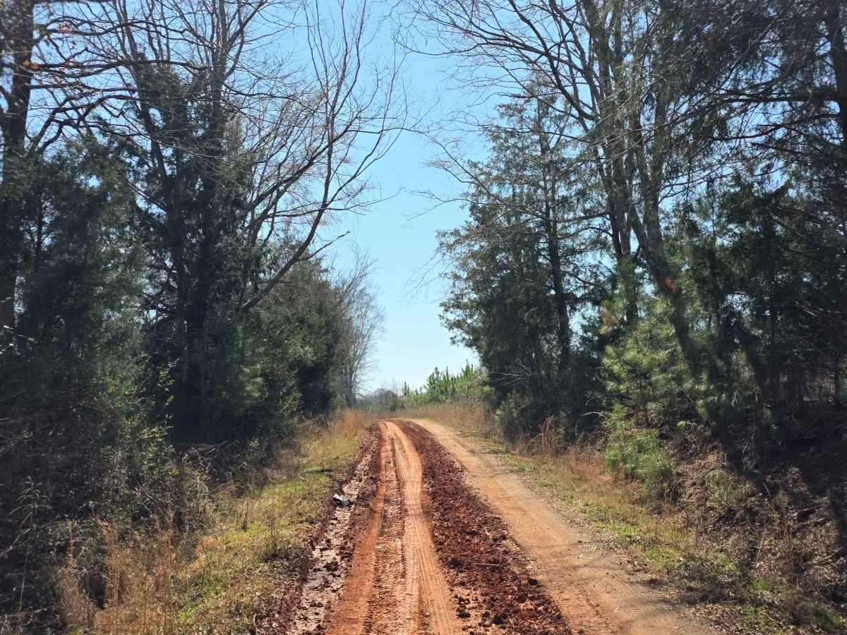 Warner Road trail photo