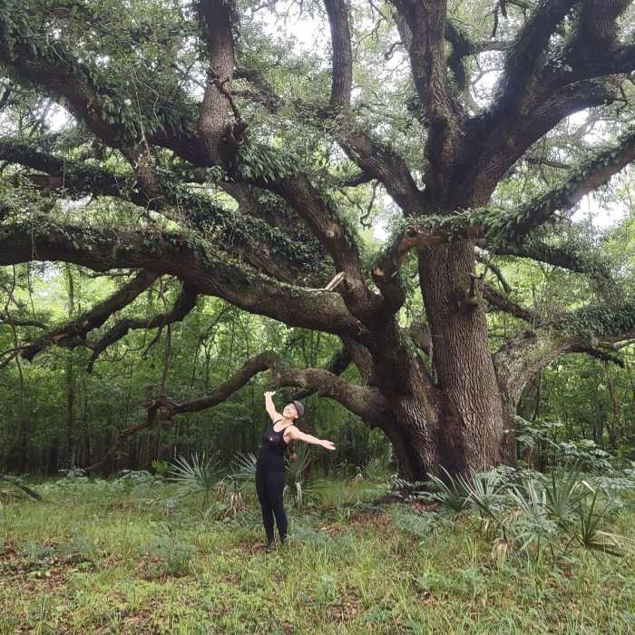 The most beautiful Live Oak you are likely to ever see. Near River View Trail