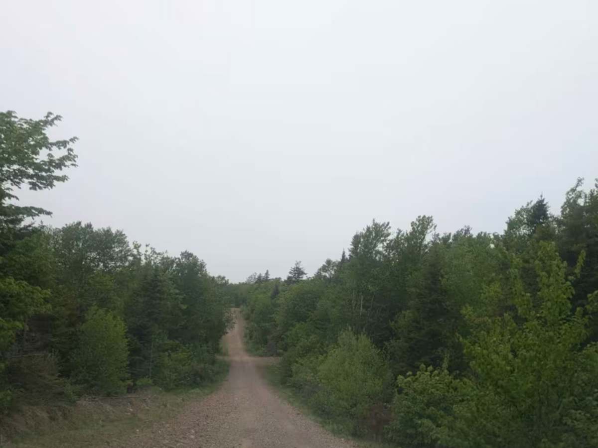 Mackenzie Settlement Road photo 2